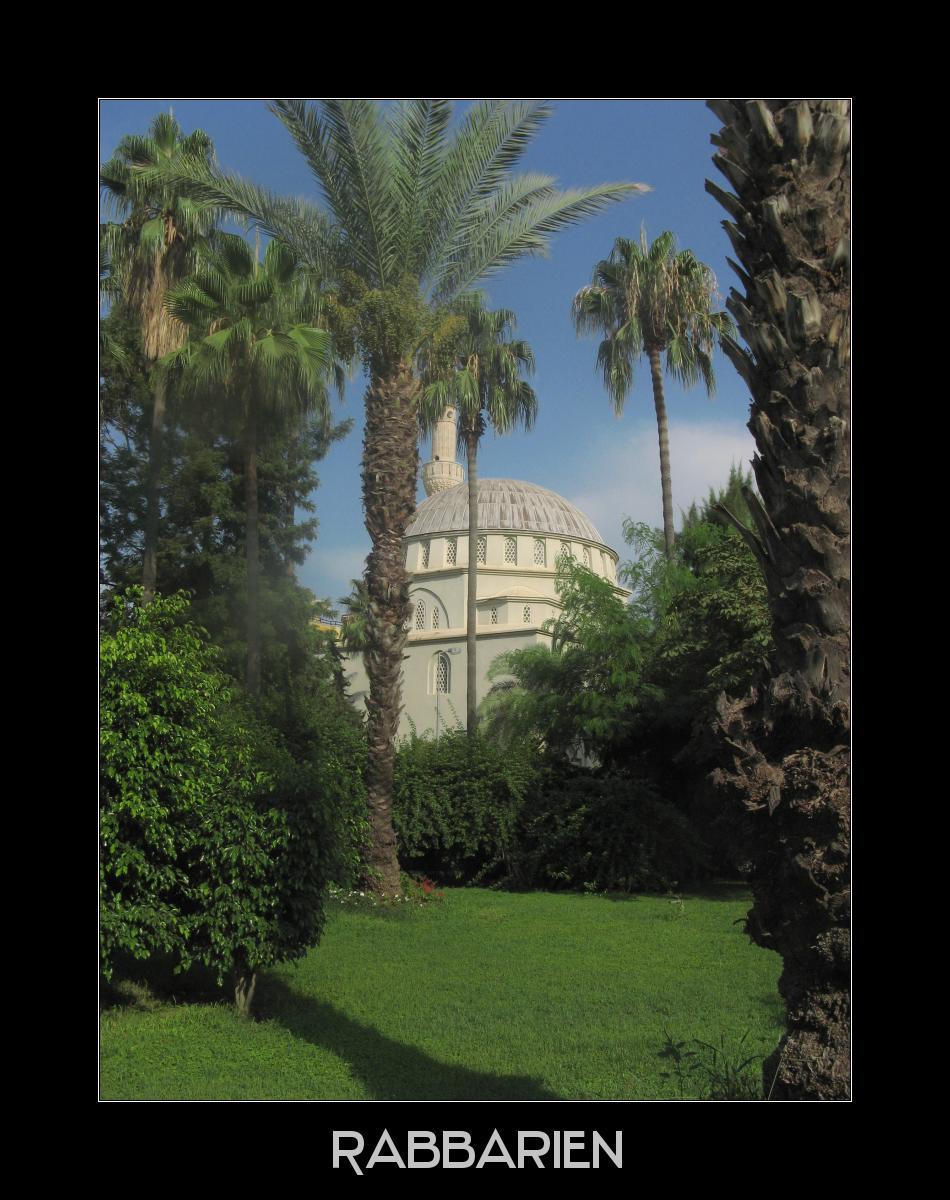 Moschee und Palmen